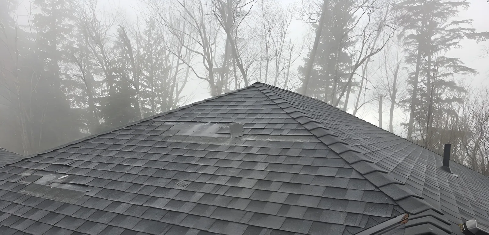 Missing shingle