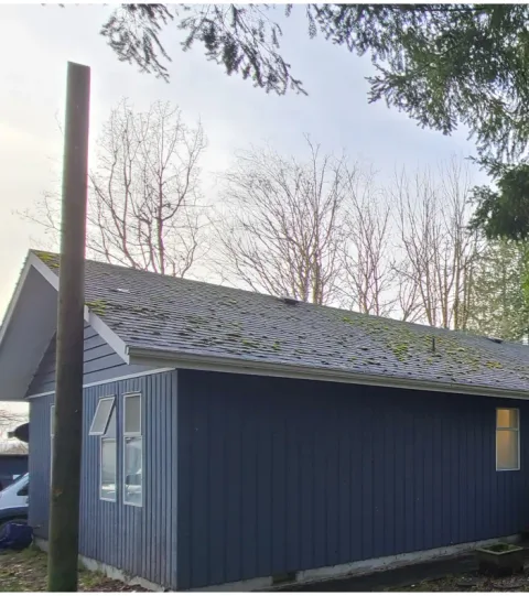 House Flip – Maple Ridge