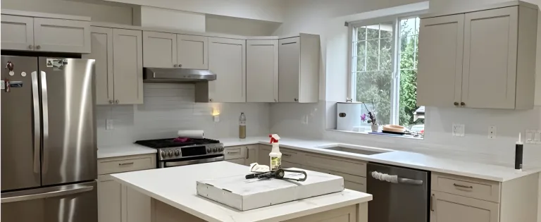 Modern Kitchen Renovation - Billy Brown Road, Langley